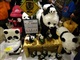 パンダを見に台北市動物園へ